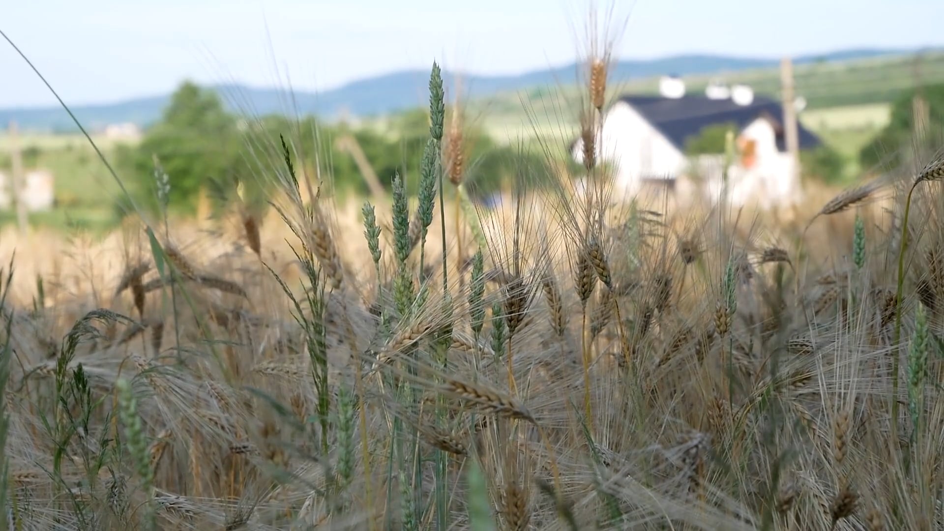 "La mañana siguiente" Álvaro Miranda y Marta Viota