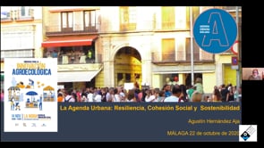 Agustn Hernndez Aja: La agenda urbana: resiliencia, cohesin social y sostenibilidad