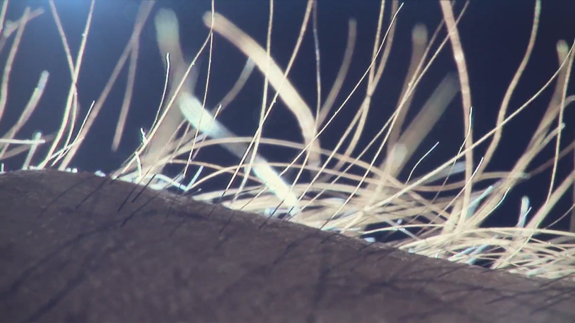 Samsung Life Changer_PARK