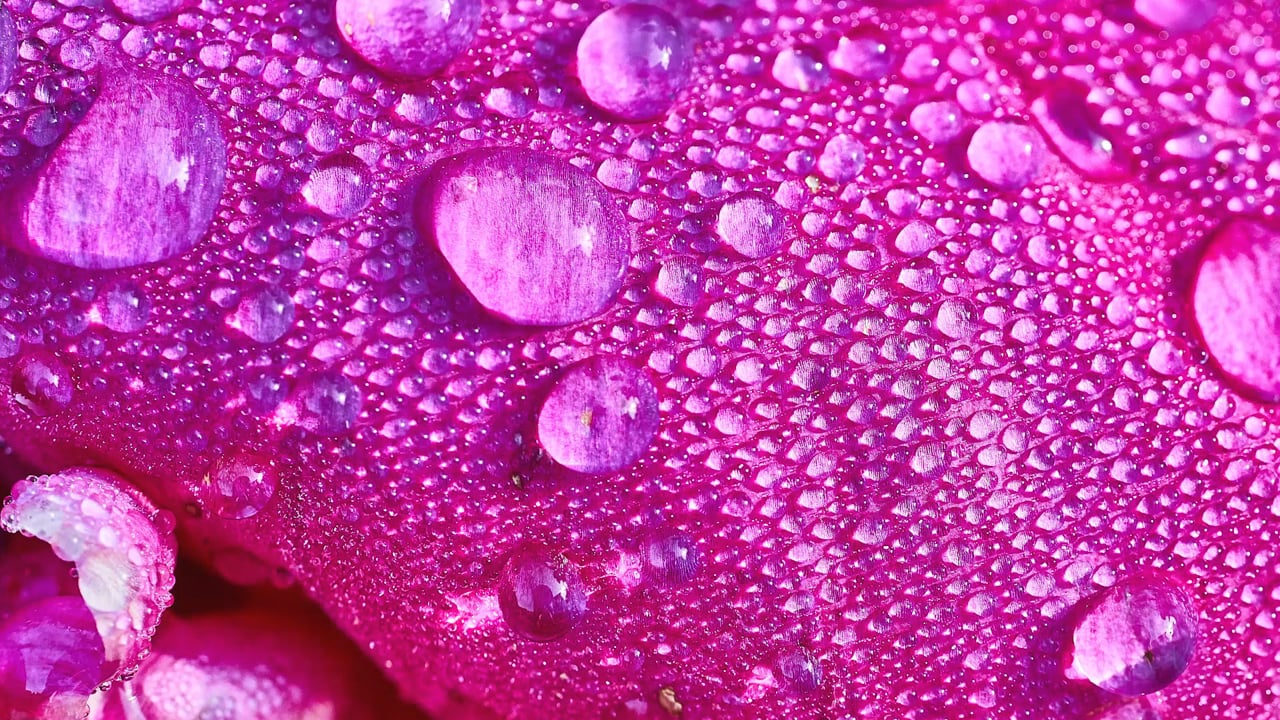 20. Méditation - Le voyage extraordinaire d'une goutte d'eau avec France Auger