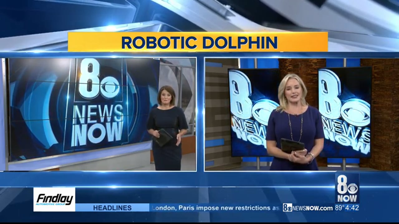 Edge Innovations animatronic dolphins to replace live captive animals