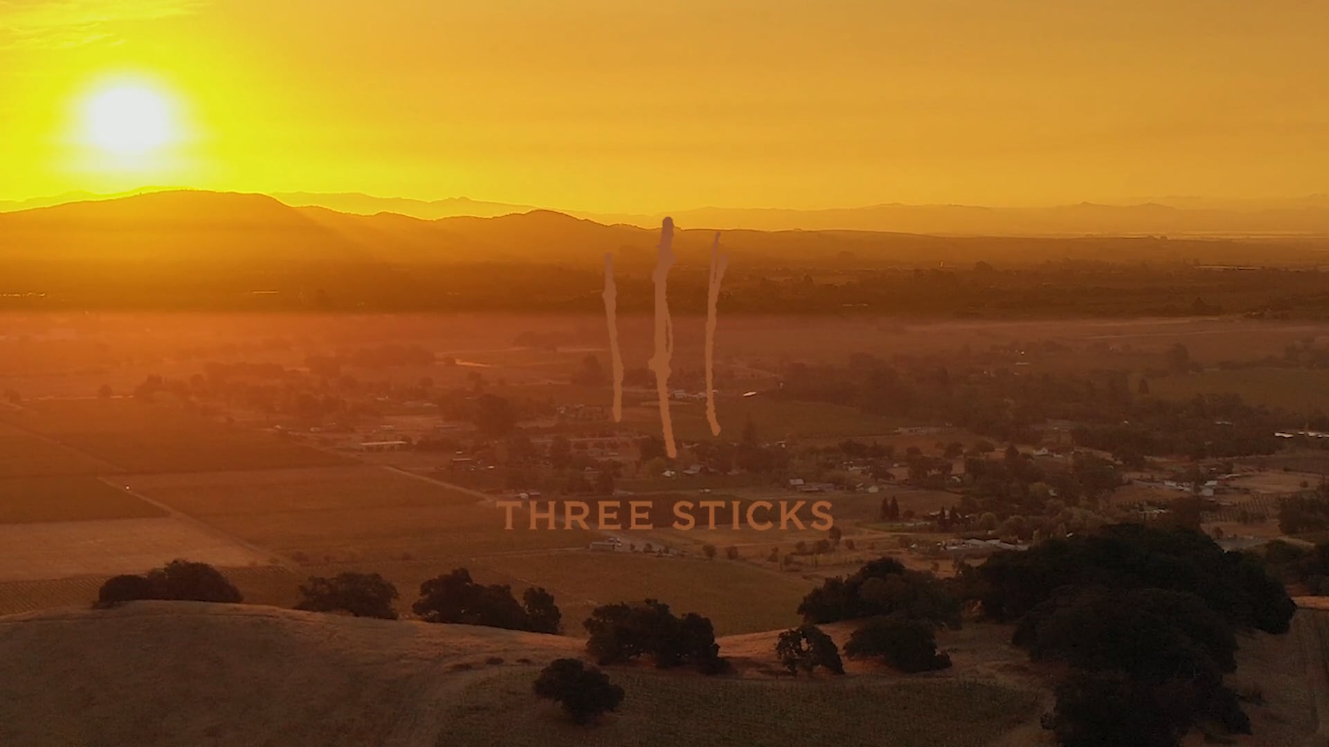 Three Sticks Vineyards - Dawn Harvest 2020