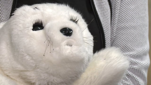 Hallo Freiheit! Zusammen über Barrieren