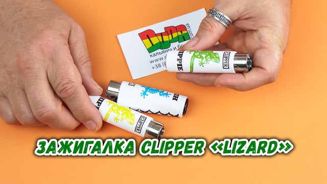 Зажигалка Clipper «Lizard Multi-colored»