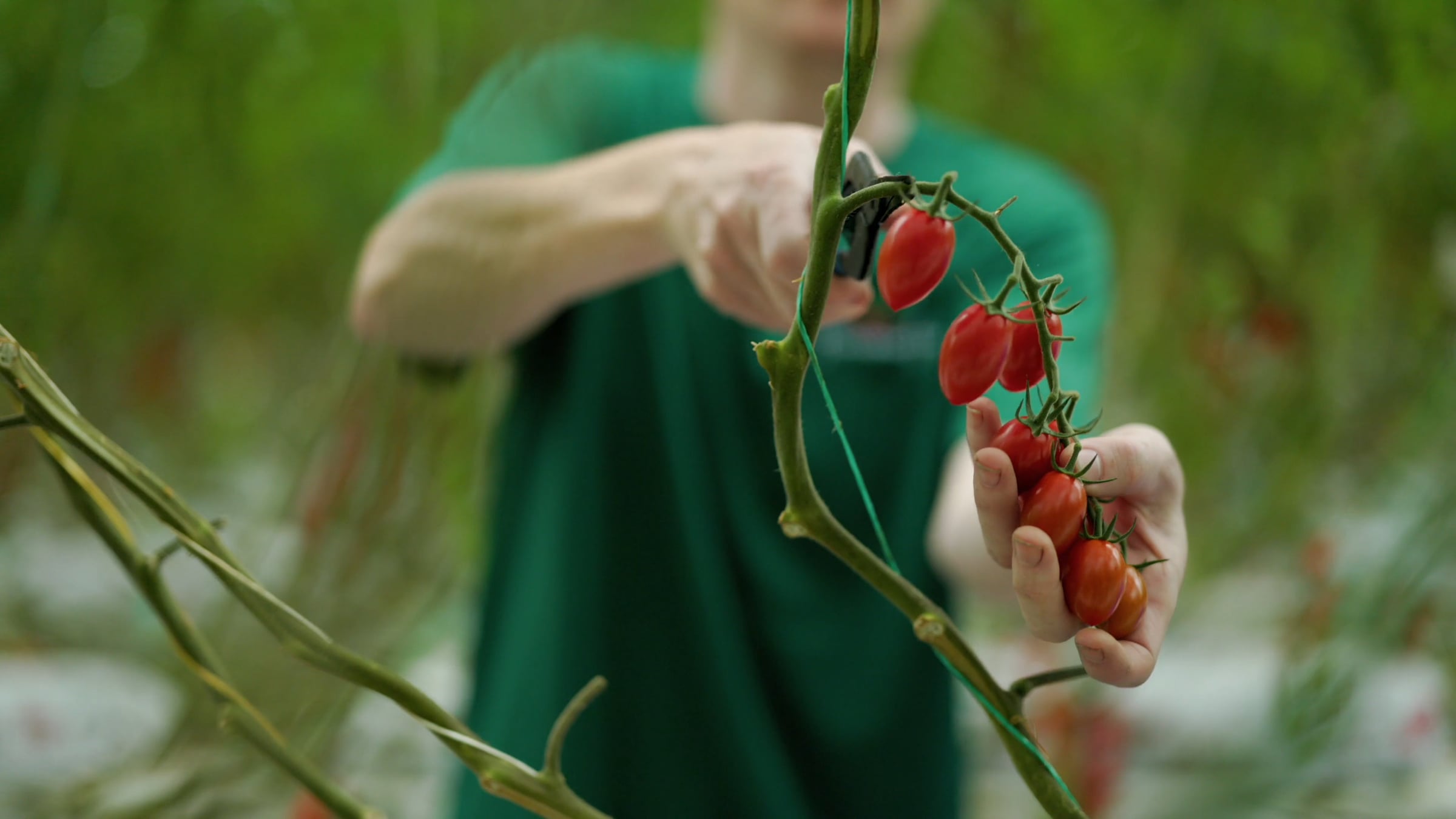 Flavourfresh: Delivering flavour, every time | Videos & Movies on Vimeo