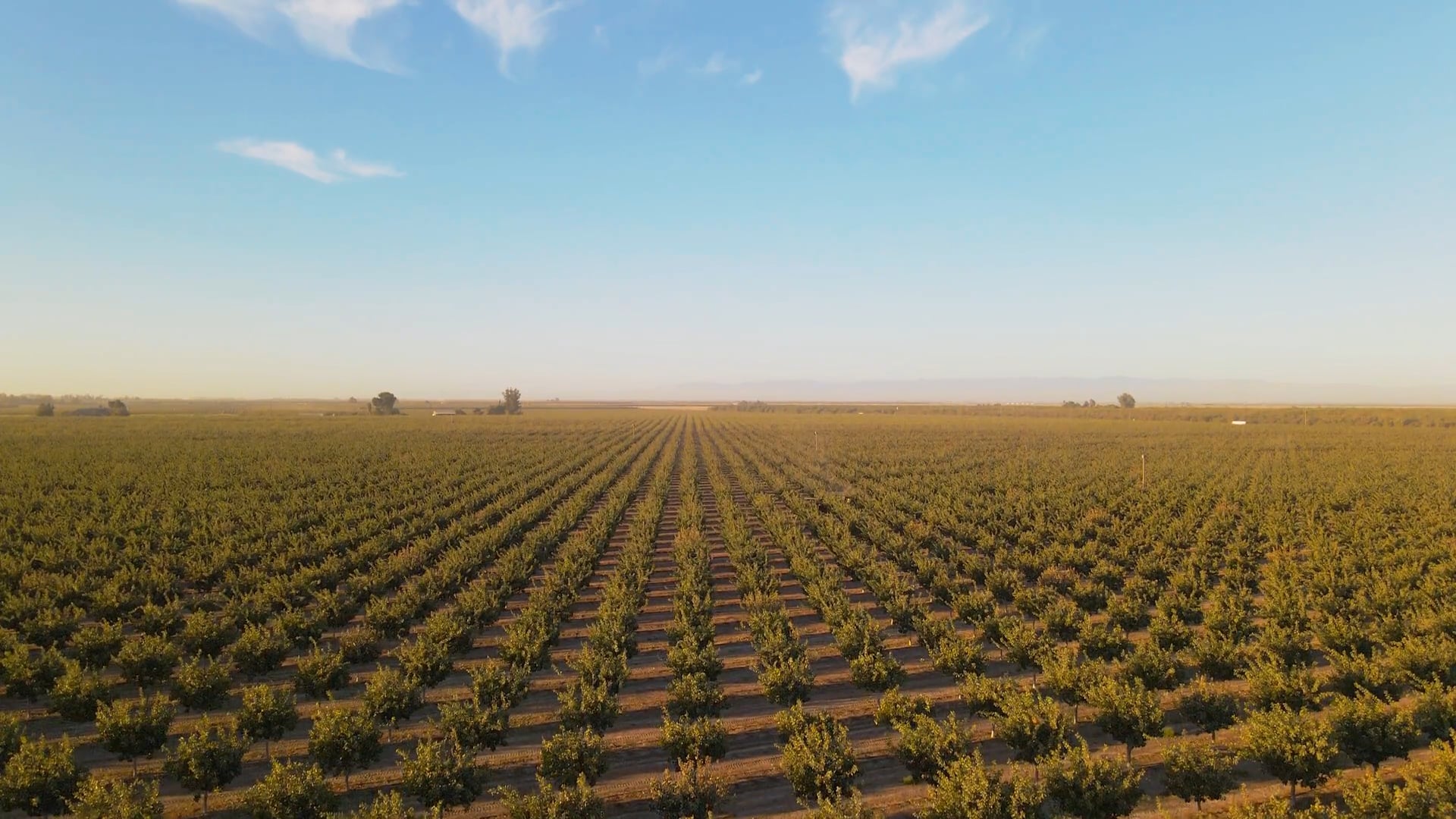 Corporate Video_Acemi California
