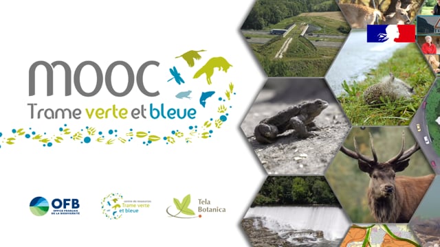 Vimeo Video: Teaser du MOOC Trame verte et bleue