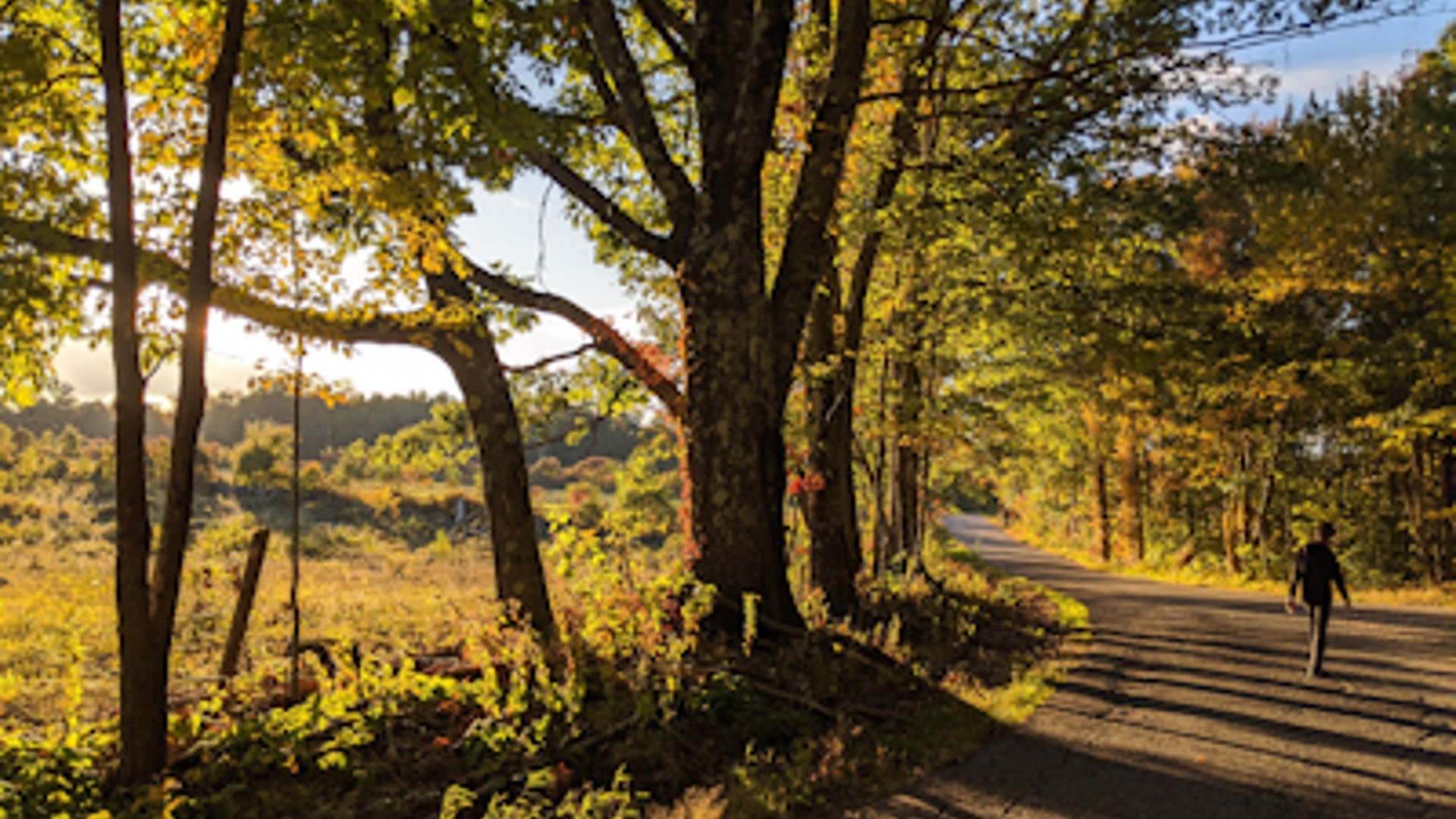 2020 October 20: The Job of the Meditator