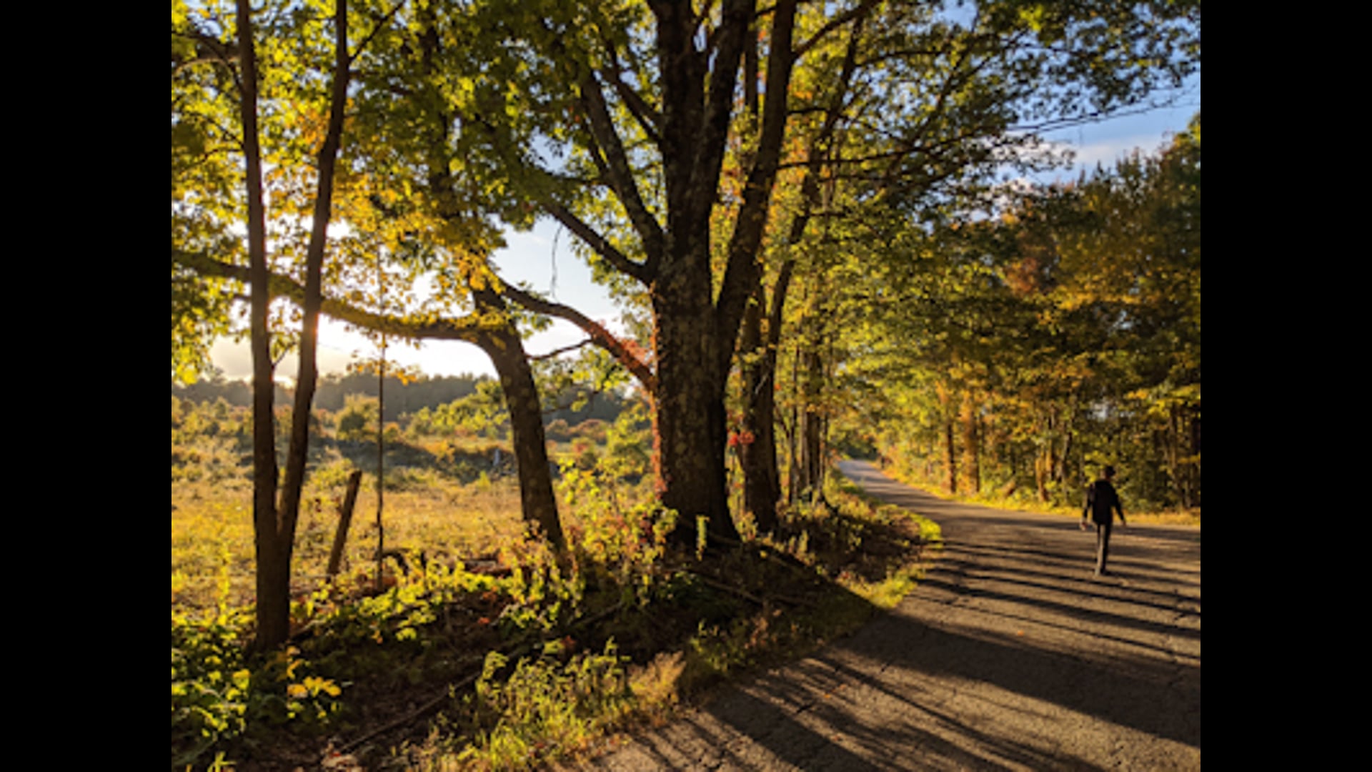 October 20, 2020: The Job of the Meditator