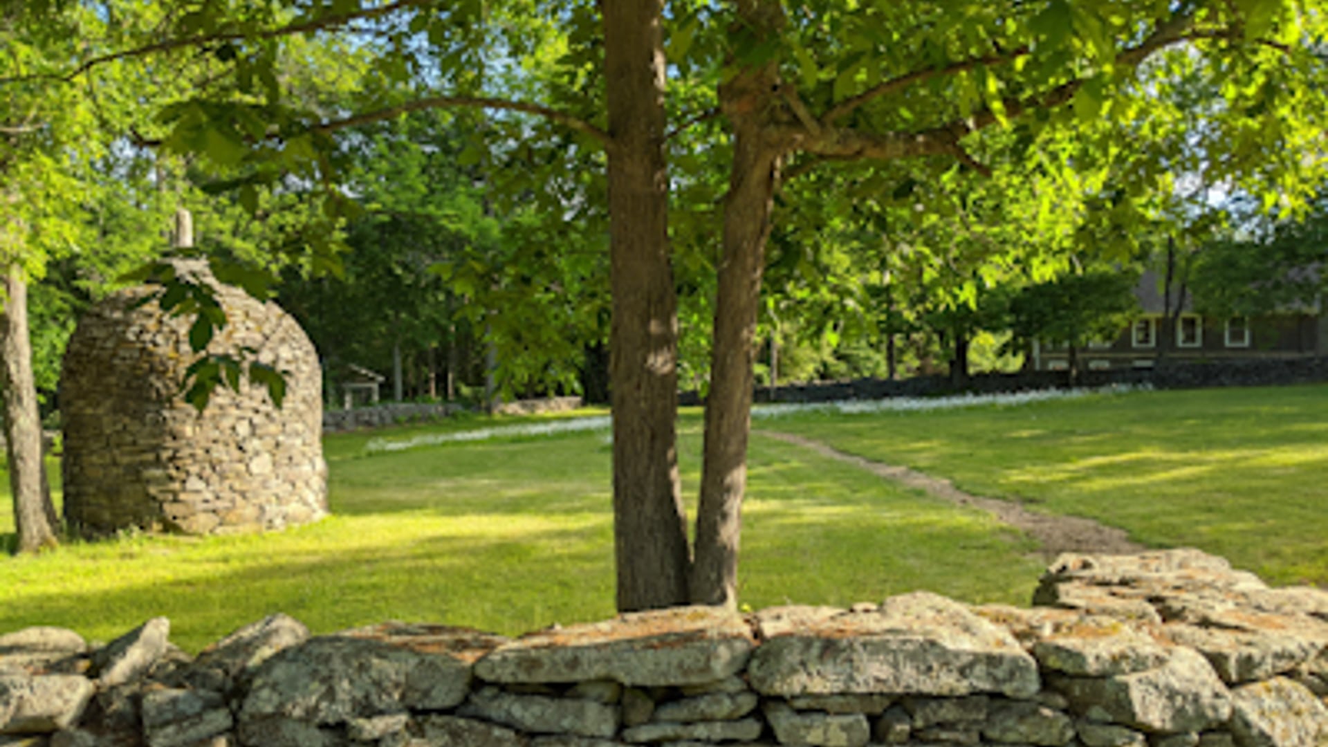 2020 October 22: The Choice to Return to the Present Moment