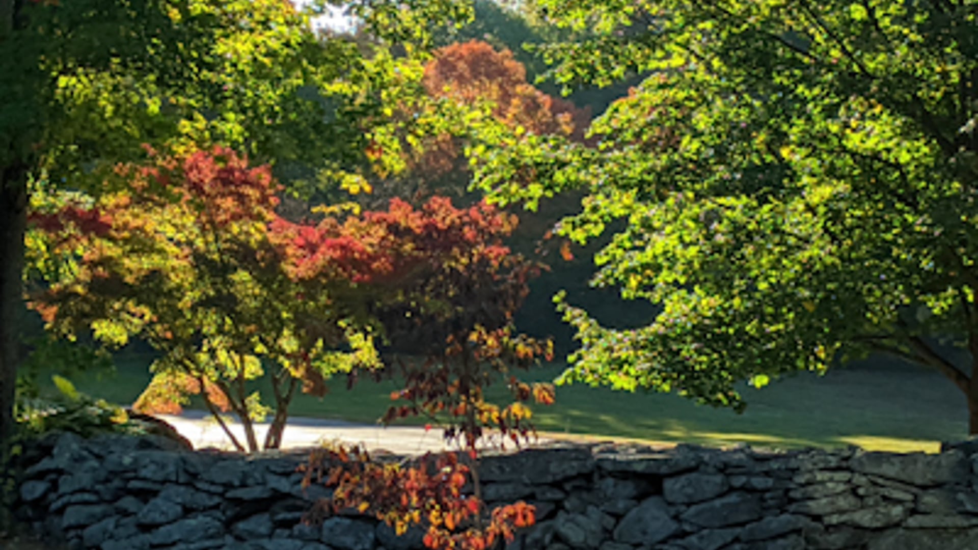 2020 October 26: “Geborgenheit”: Inner Well Being and Outer Protection