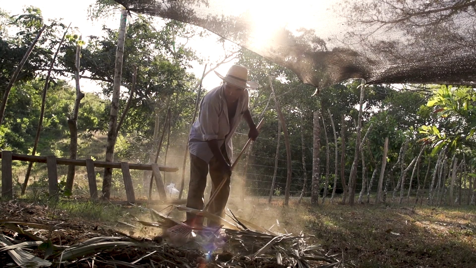 Videos de conservación