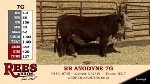 Lot #7G - RB ANODYNE 7G