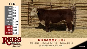 Lot #11G - RB SAMMY 11G