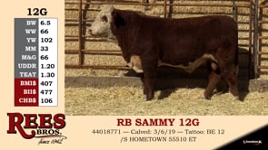 Lot #12G - RB SAMMY 12G