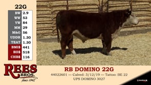 Lot #22G - RB DOMINO 22G