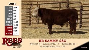 Lot #28G - RB SAMMY 28G