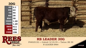 Lot #30G - RB LEADER 30G