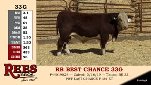 Lot #33G - RB BEST CHANCE 33G