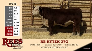Lot #37G - RB HYTEK 37G