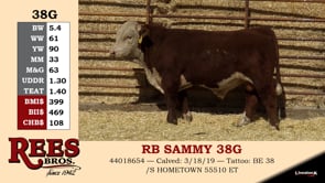 Lot #38G - RB SAMMY 38G