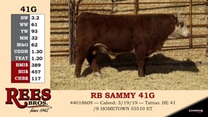 Lot #41G - RB SAMMY 41G