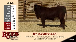 Lot #42G - RB SAMMY 42G