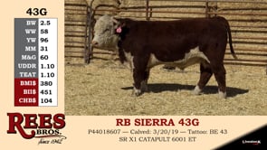 Lot #43G - RB SIERRA 43G