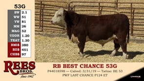 Lot #53G - RB BEST CHANCE 53G