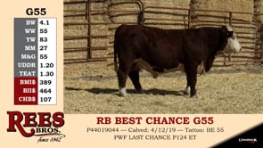 Lot #55G - RB BEST CHANCE G55