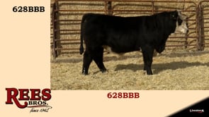 Lot #628BBB - 628BBB