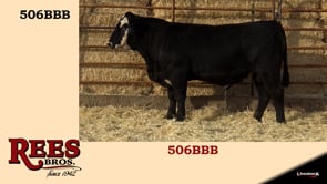 Lot #506BBB - 506BBB