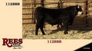 Lot #112BBB - 112BBB