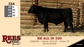 Lot #32A - RB ALL IN 32G