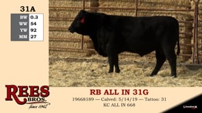 Lot #31A - RB ALL IN 31G