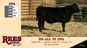 Lot #29A - RB ALL IN 29G
