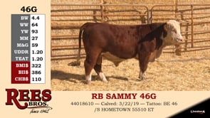 Lot #46G - RB SAMMY 46G