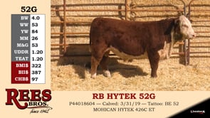 Lot #52G - RB HYTEK 52G
