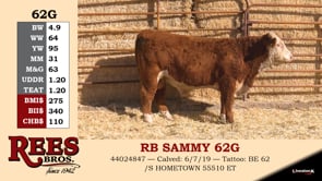 Lot #62G - RB SAMMY 62G