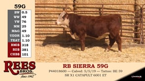 Lot #59G - RB SIERRA 59G