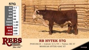 Lot #57G - RB HYTEK 57G
