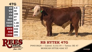 Lot #47G - RB HYTEK 47G