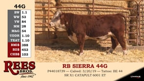 Lot #44G - RB SIERRA 44G
