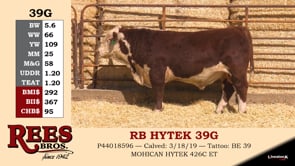 Lot #39G - RB HYTEK 39G