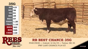 Lot #35G - RB BEST CHANCE 35G