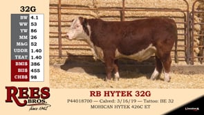 Lot #32G - RB HYTEK 32G