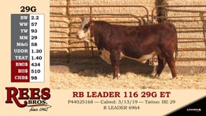 Lot #29G - RB LEADER 116 29G ET