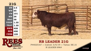 Lot #21G - RB LEADER 21G