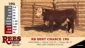 Lot #19G - RB BEST CHANCE 19G