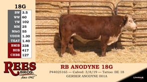 Lot #18G - RB ANODYNE 18G